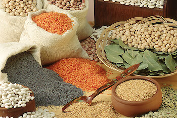 gesunder urlaub in bayern